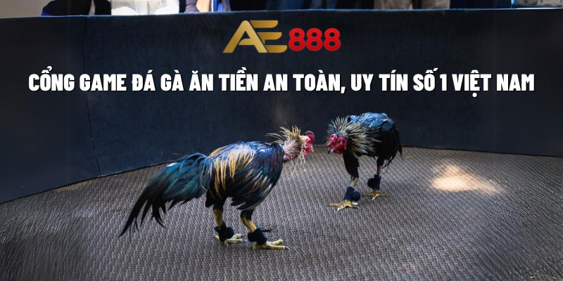 Hai hình thức đá gà AE888 được yêu thích nhất